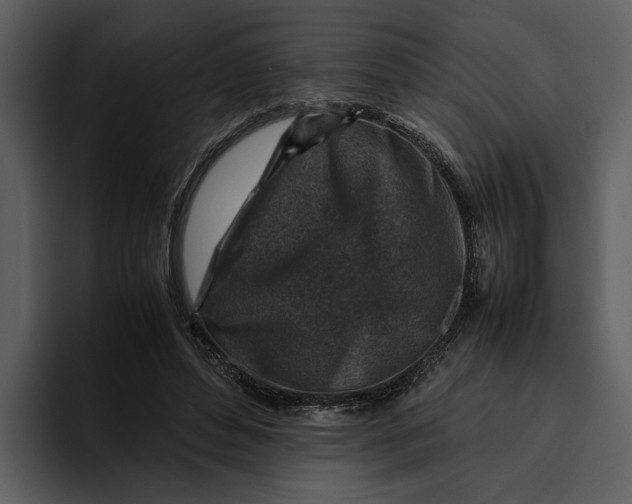 X0000095690496200801291220