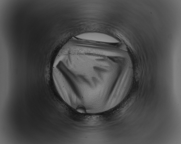 X0000095690497200801291220