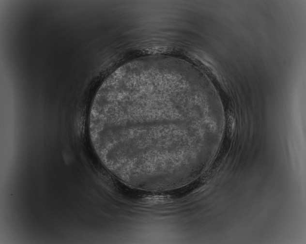 X0000095690499200801291220