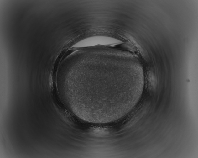 X0000095690500200801291220