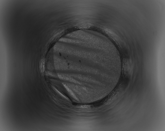 X0000095690501200801291220