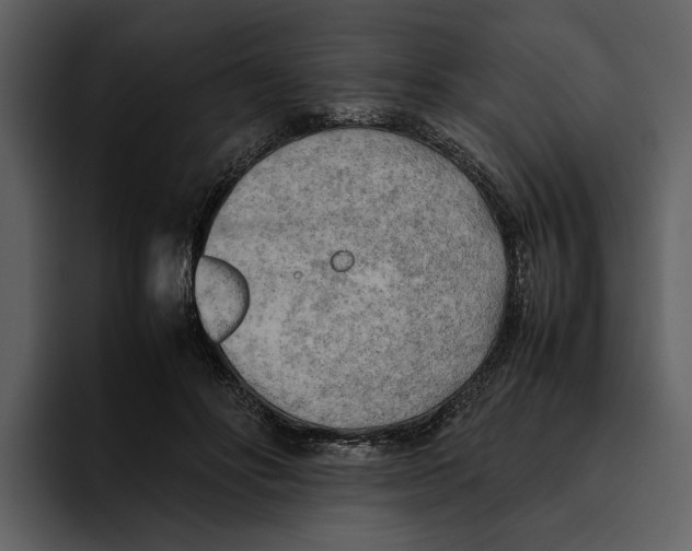 X0000095690502200801291220