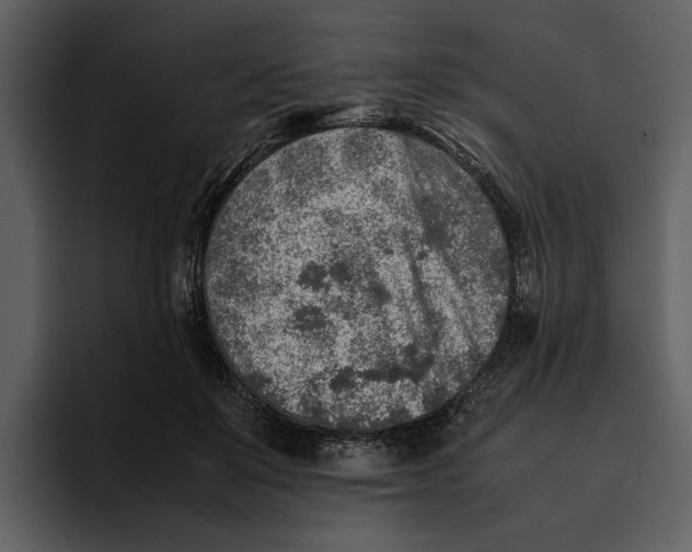 X0000095690503200801291220