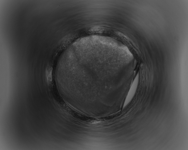 X0000095690504200801291220