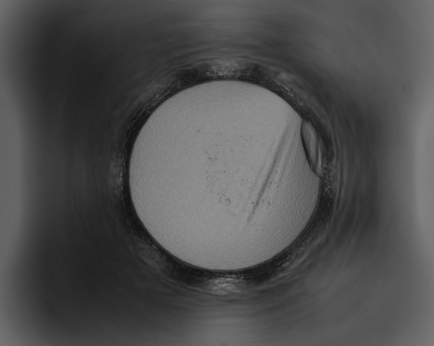 X0000095690505200801291220