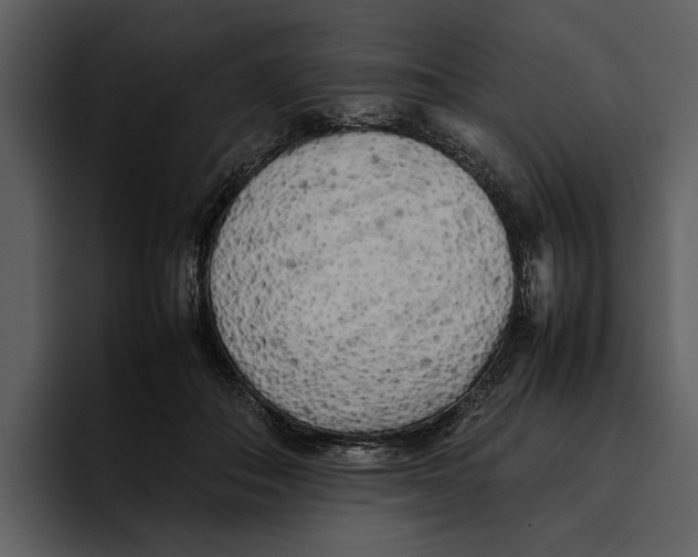 X0000095690506200801291220