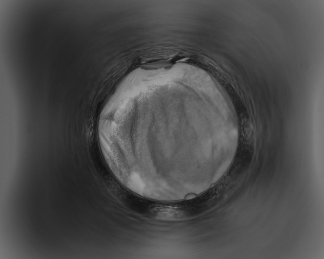 X0000095690507200801291220