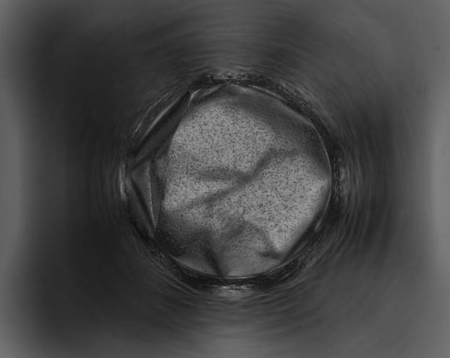 X0000095690508200801291220