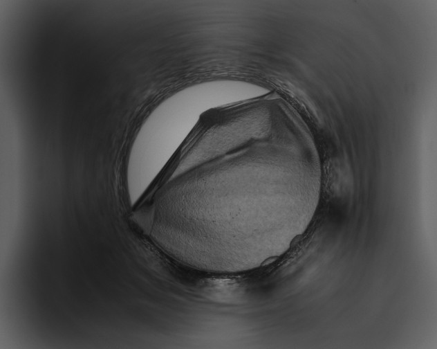 X0000095690509200801291220