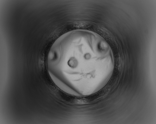 X0000095690510200801291220