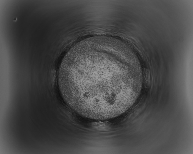 X0000095690511200801291220