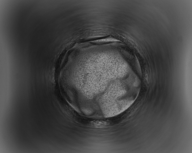 X0000095690512200801291220