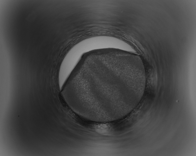 X0000095690513200801291220