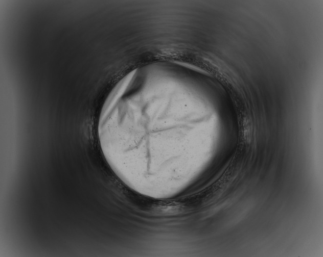 X0000095690514200801291220