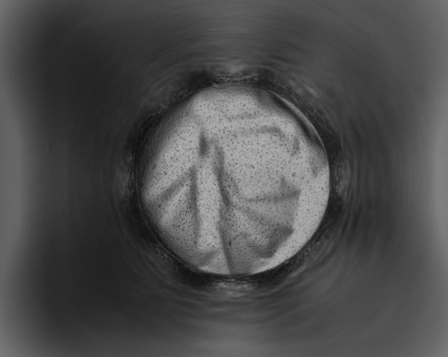 X0000095690515200801291220