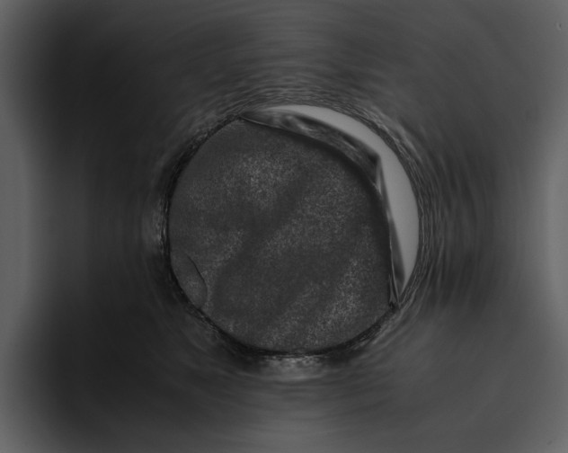 X0000095690517200801291220