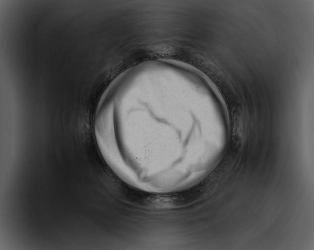 X0000095690518200801291220