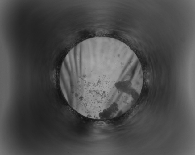 X0000095690519200801291220