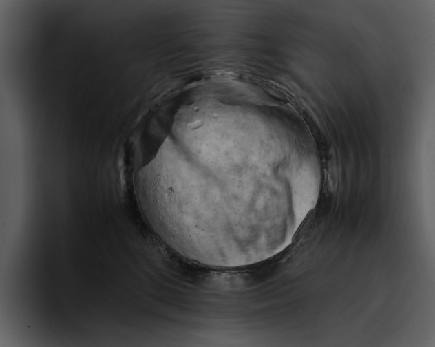 X0000095690520200801291220