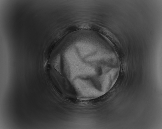 X0000095690521200801291219