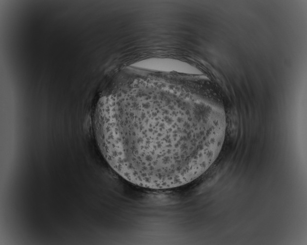 X0000095690523200801291219