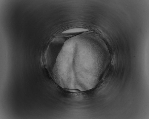 X0000095690524200801291219