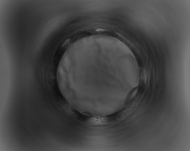 X0000095690526200801291219