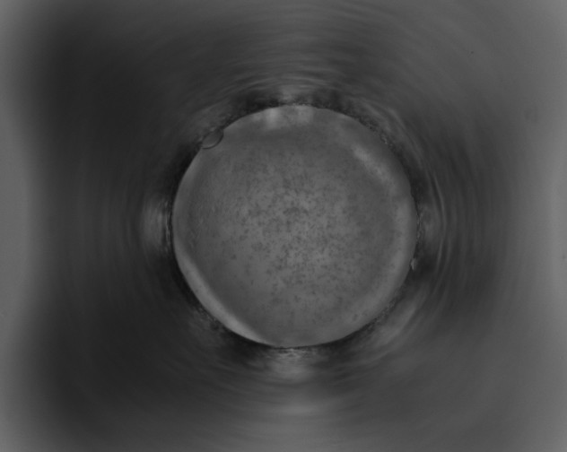 X0000095690527200801291219