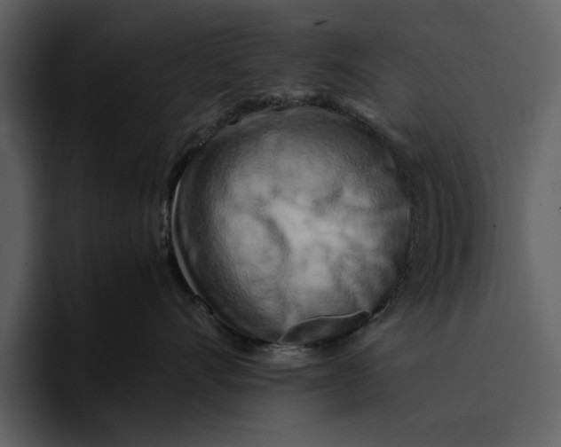 X0000095690528200801291219