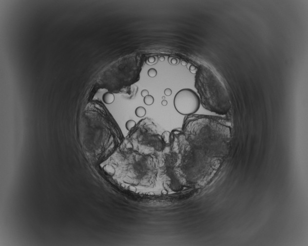 X0000095690529200801291219