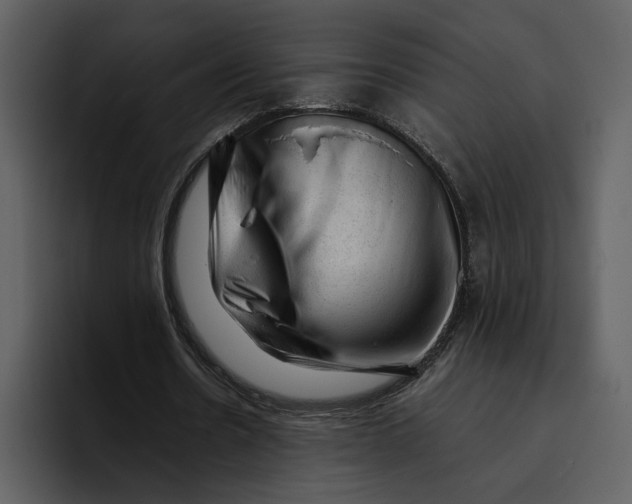 X0000095690530200801291219