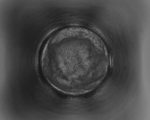 X0000095690531200801291219