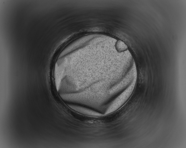 X0000095690535200801291219