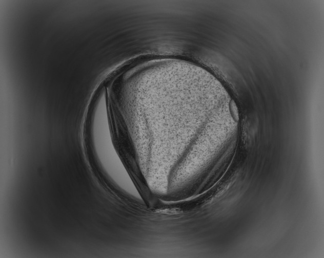 X0000095690536200801291219