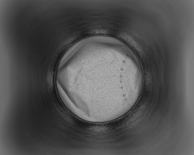 X0000095690537200801291219