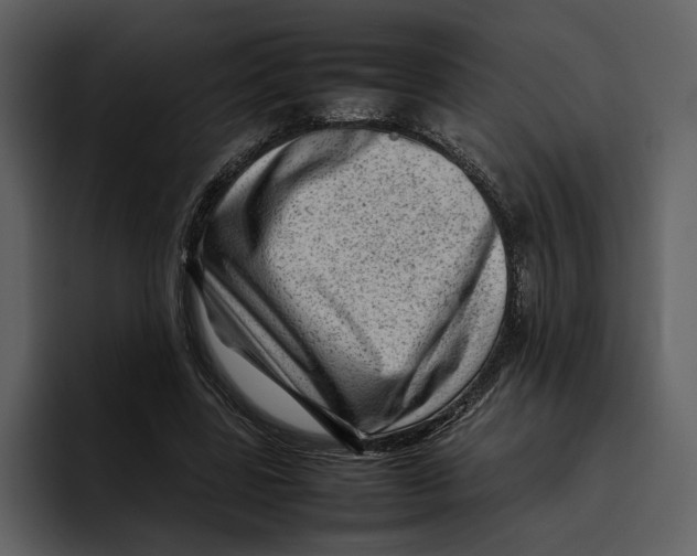 X0000095690539200801291219