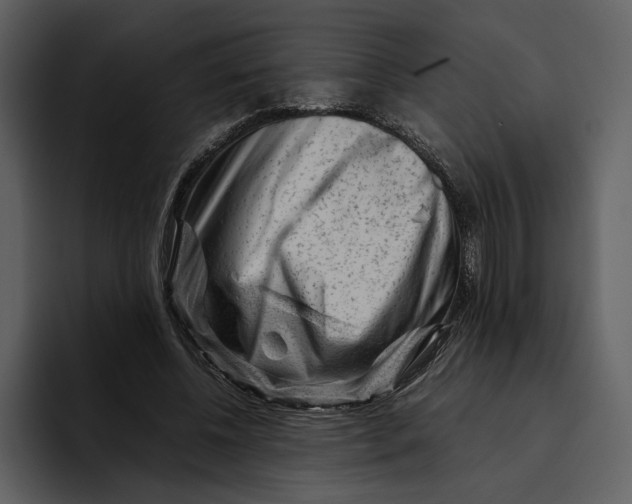 X0000095690540200801291219