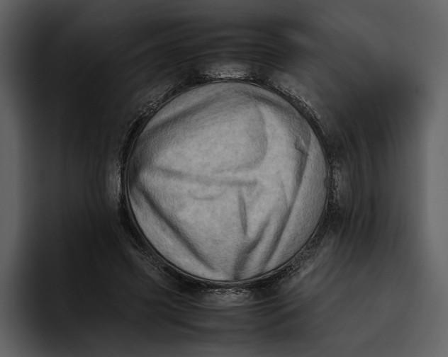 X0000095690541200801291219