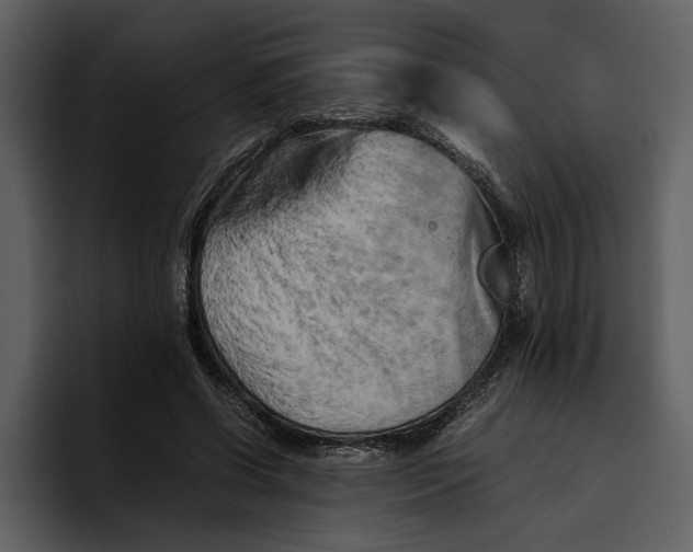 X0000095690542200801291219