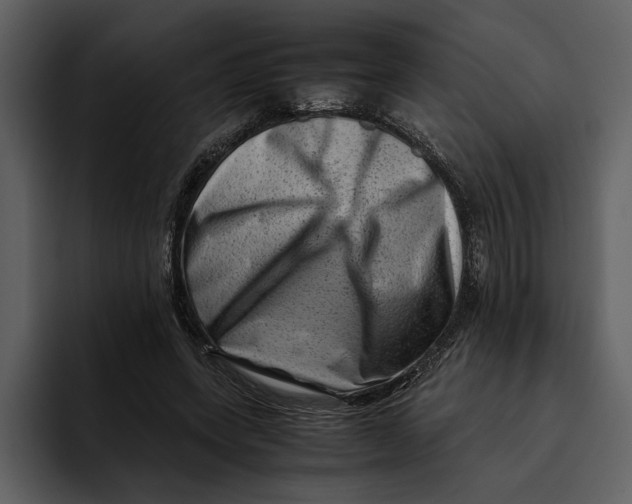 X0000095690543200801291219