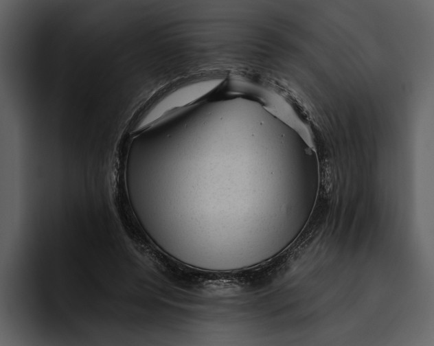 X0000095690544200801291219