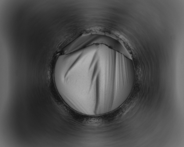 X0000095690546200801291219