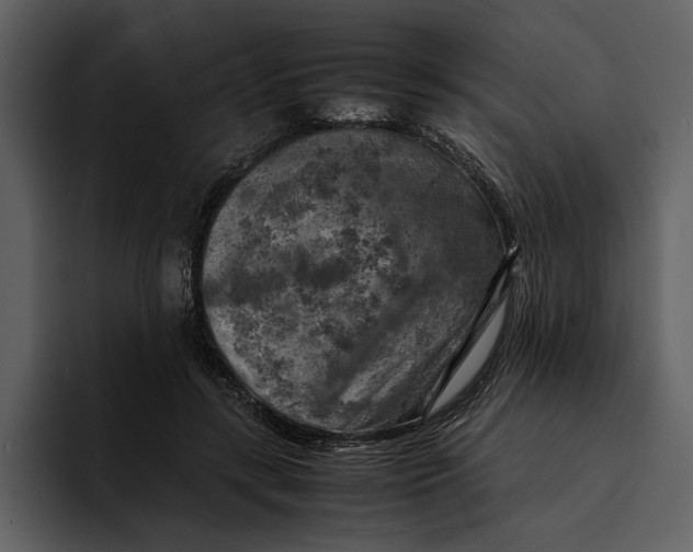 X0000095690547200801291219