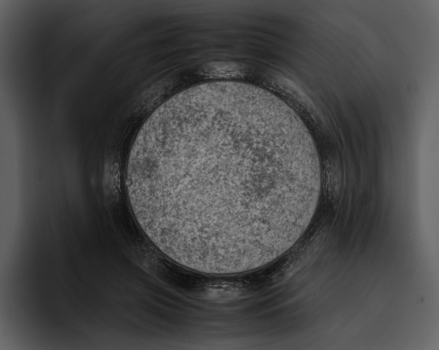 X0000095690549200801291219