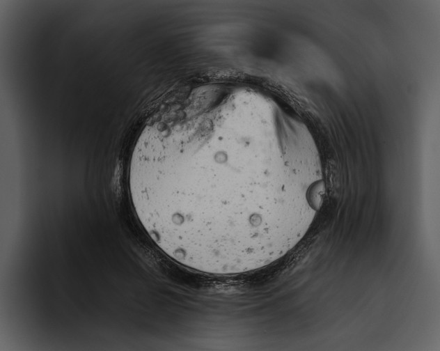 X0000095690550200801291219