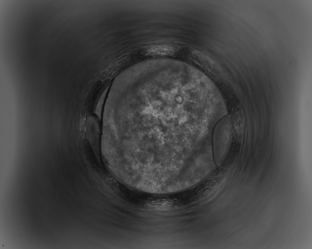 X0000095690551200801291219