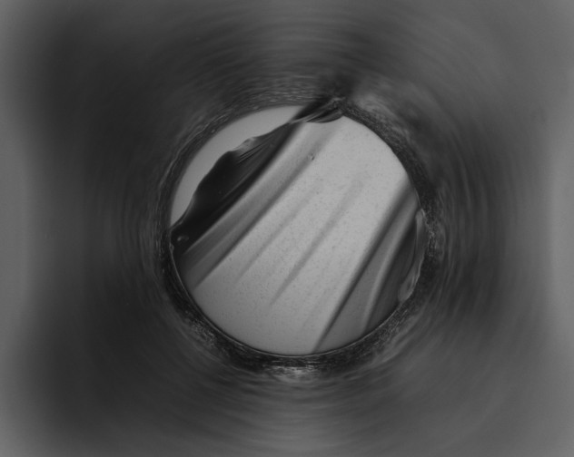 X0000095690552200801291219