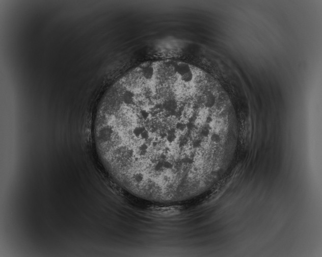 X0000095690553200801291219