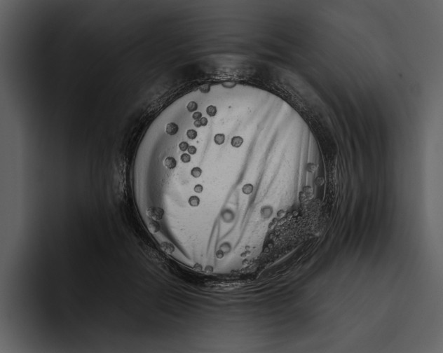 X0000095690554200801291219