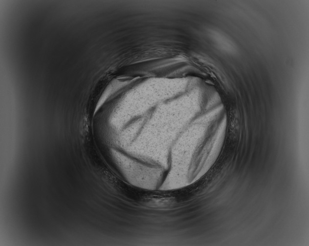 X0000095690555200801291219